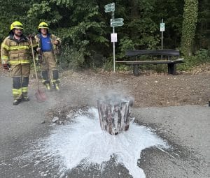 Mehr über den Artikel erfahren Einsatz „Kleinbrand im Freien“